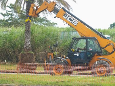 Captura de pantalla 2026-01-27 a la(s) 7.23.18 a. m.